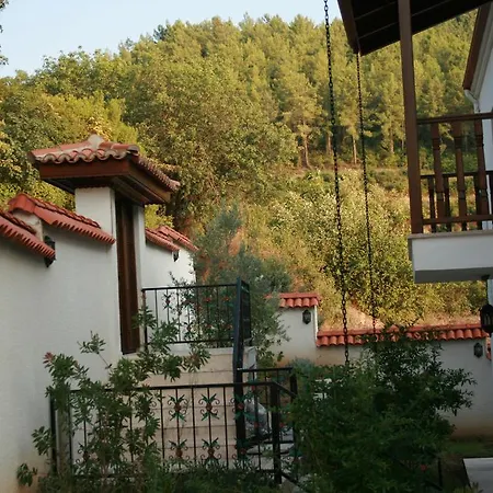 Gultekin Gokova